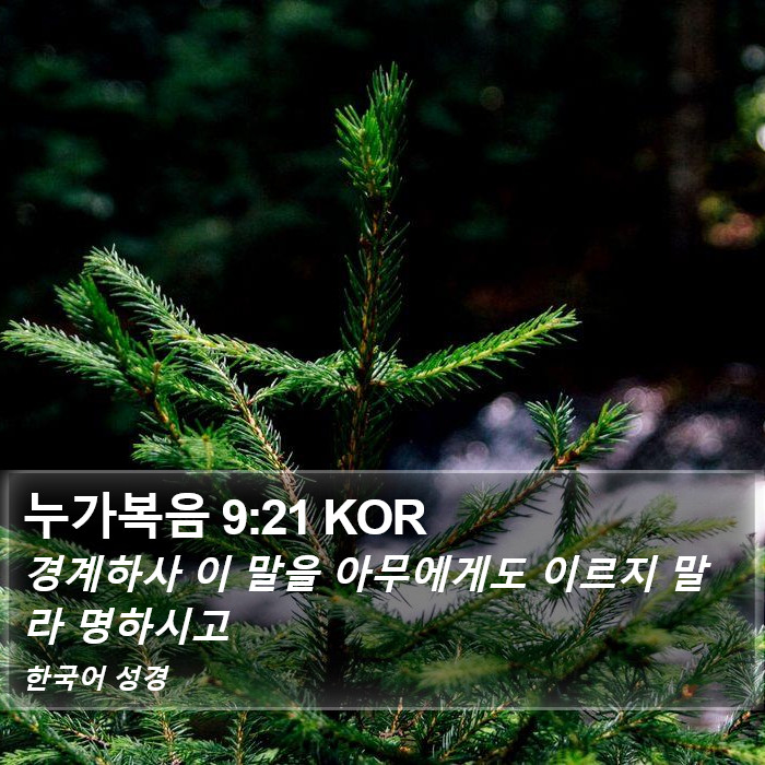 누가복음 9:21 KOR Bible Study