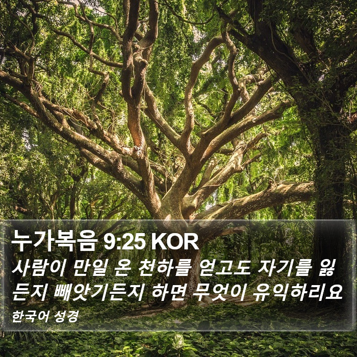 누가복음 9:25 KOR Bible Study