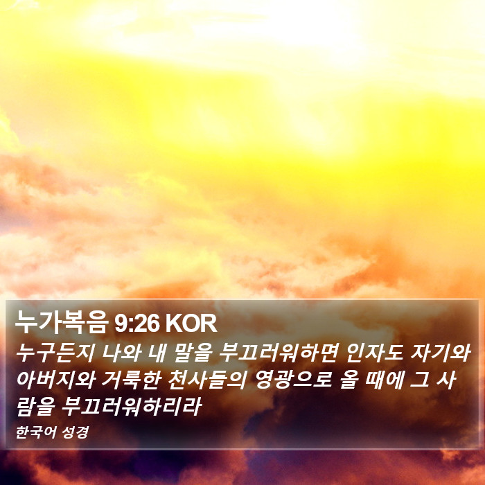 누가복음 9:26 KOR Bible Study