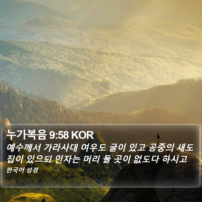 누가복음 9:58 KOR Bible Study