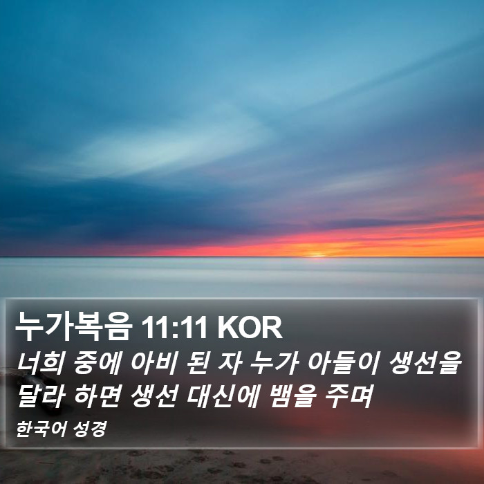누가복음 11:11 KOR Bible Study