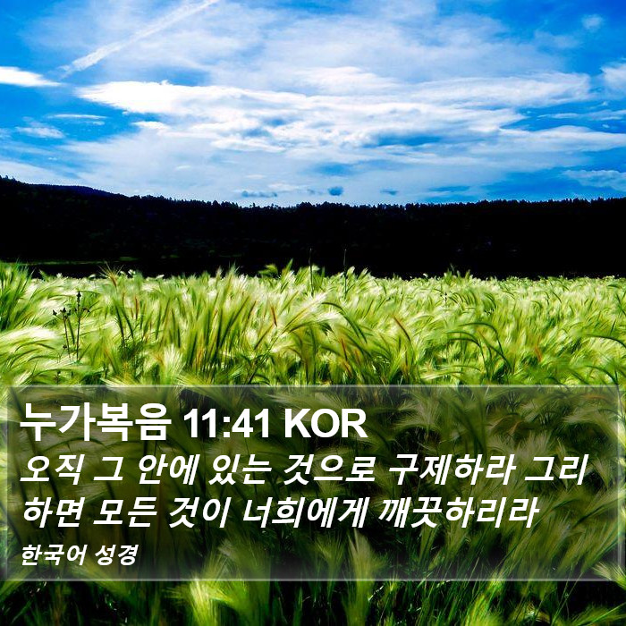 누가복음 11:41 KOR Bible Study