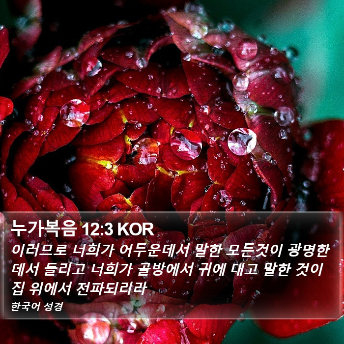 누가복음 12:3 KOR Bible Study