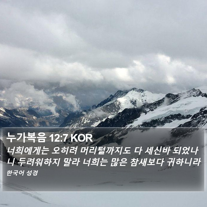 누가복음 12:7 KOR Bible Study