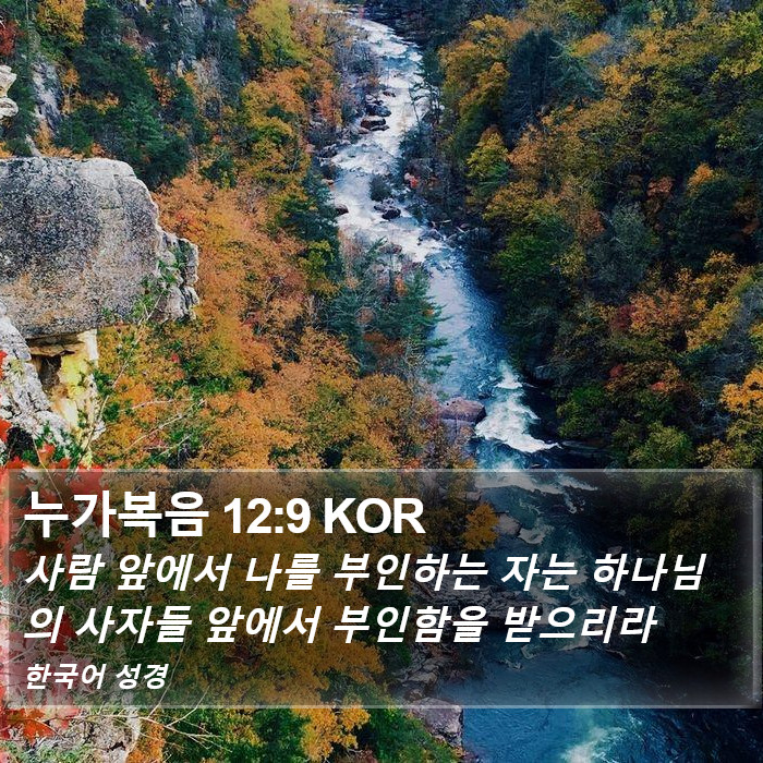 누가복음 12:9 KOR Bible Study
