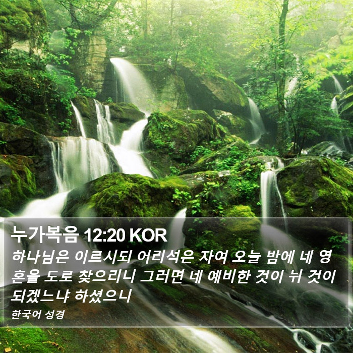 누가복음 12:20 KOR Bible Study