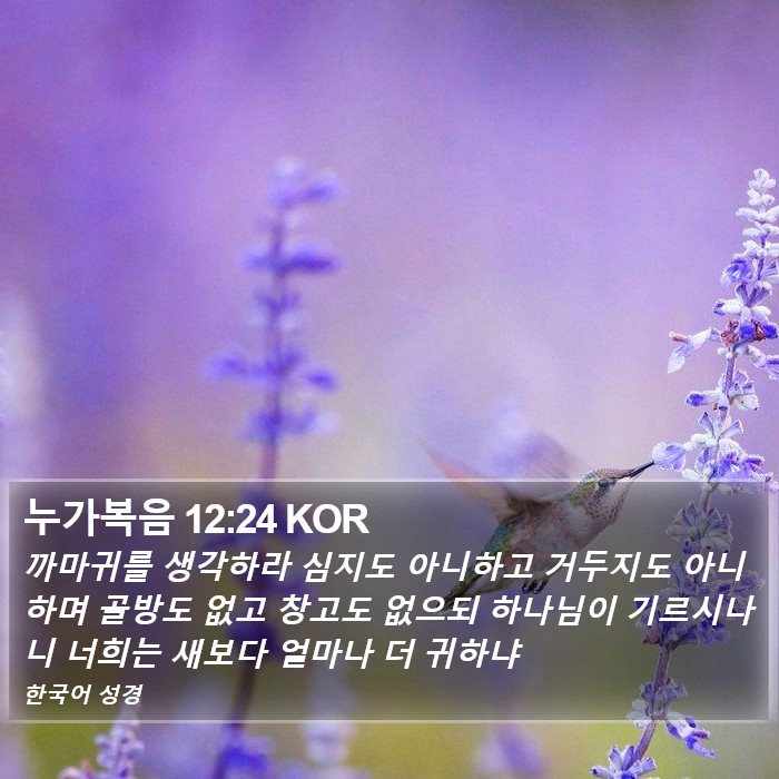 누가복음 12:24 KOR Bible Study