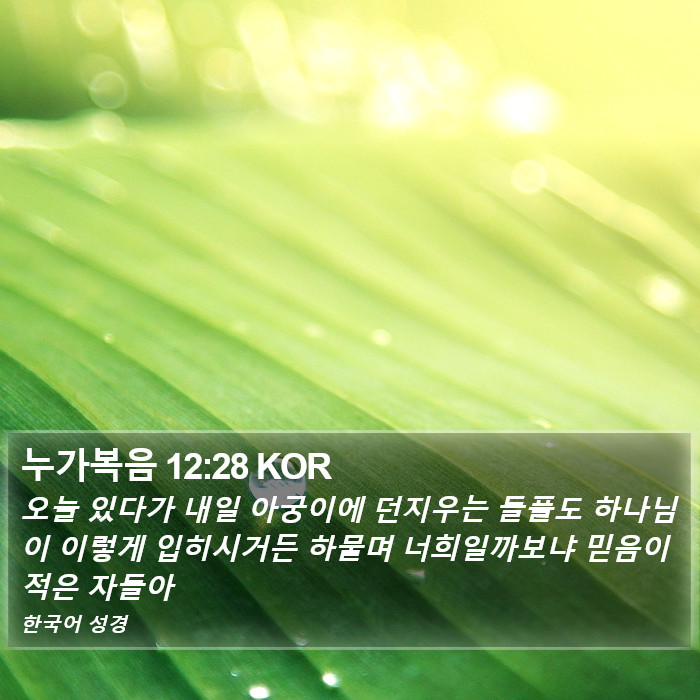 누가복음 12:28 KOR Bible Study