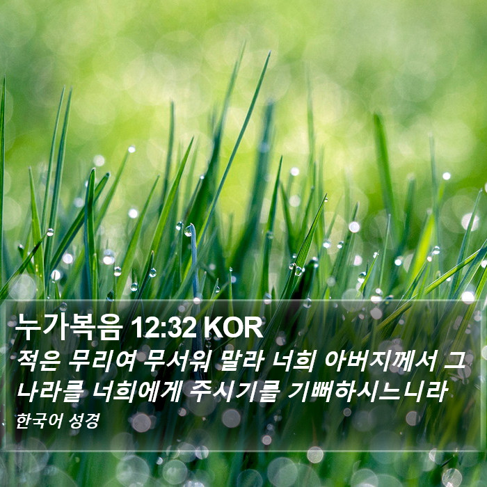누가복음 12:32 KOR Bible Study