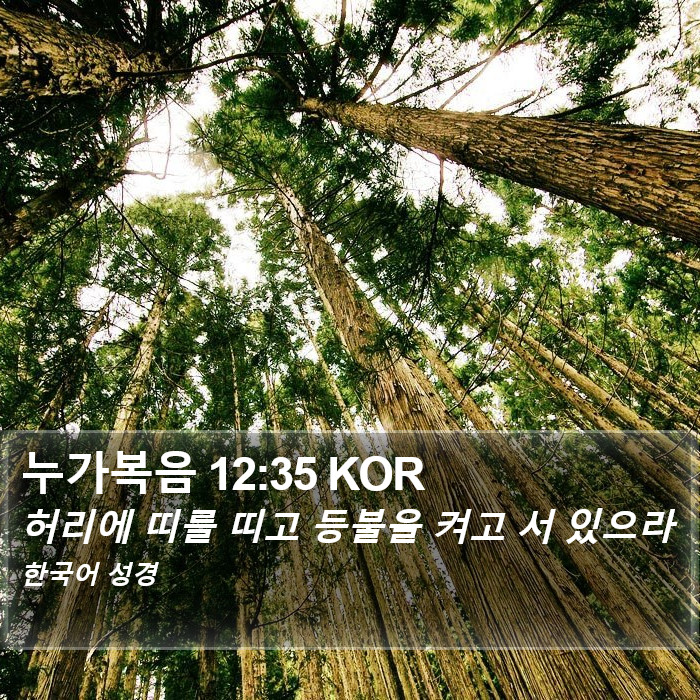 누가복음 12:35 KOR Bible Study