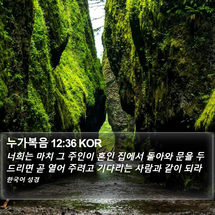 누가복음 12:36 KOR Bible Study