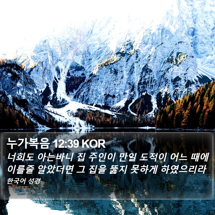 누가복음 12:39 KOR Bible Study