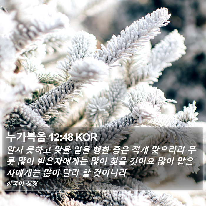 누가복음 12:48 KOR Bible Study