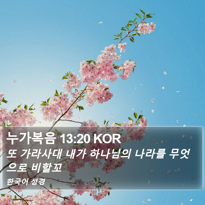 누가복음 13:20 KOR Bible Study