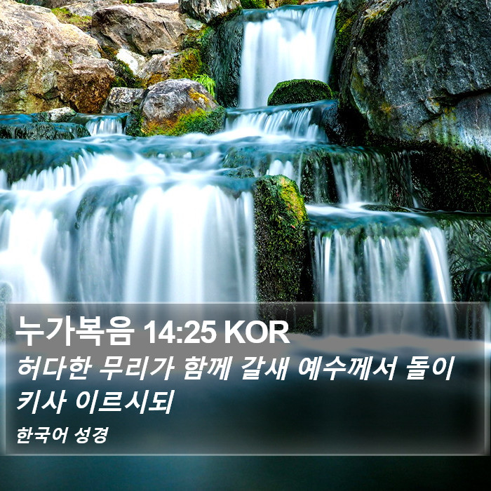 누가복음 14:25 KOR Bible Study