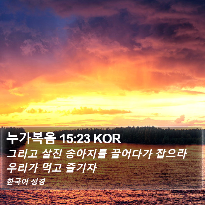 누가복음 15:23 KOR Bible Study