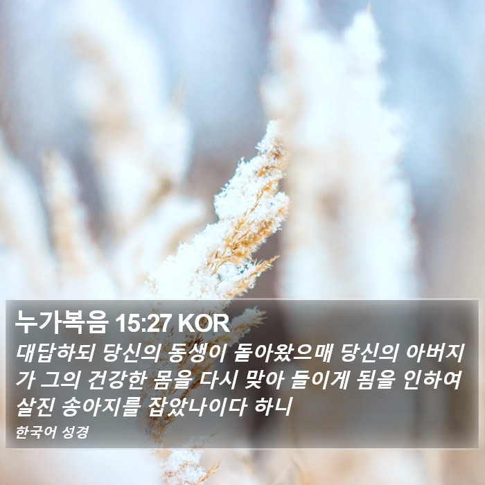 누가복음 15:27 KOR Bible Study