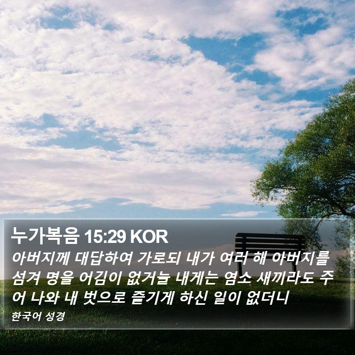 누가복음 15:29 KOR Bible Study