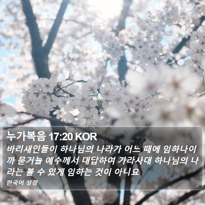 누가복음 17:20 KOR Bible Study