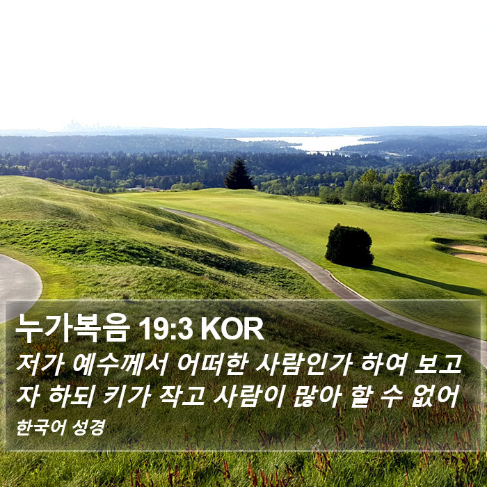 누가복음 19:3 KOR Bible Study