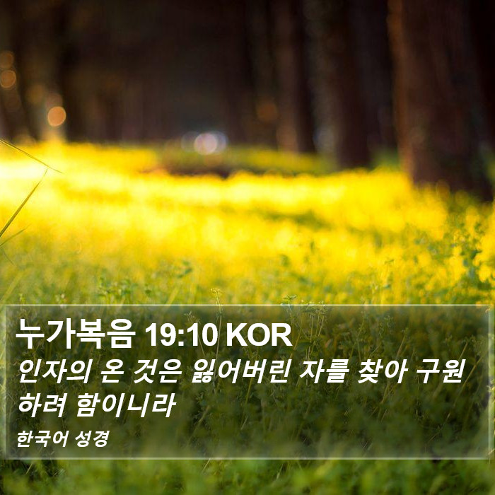 누가복음 19:10 KOR Bible Study