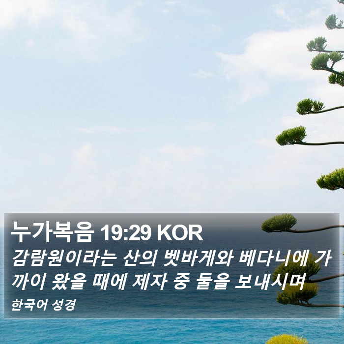 누가복음 19:29 KOR Bible Study