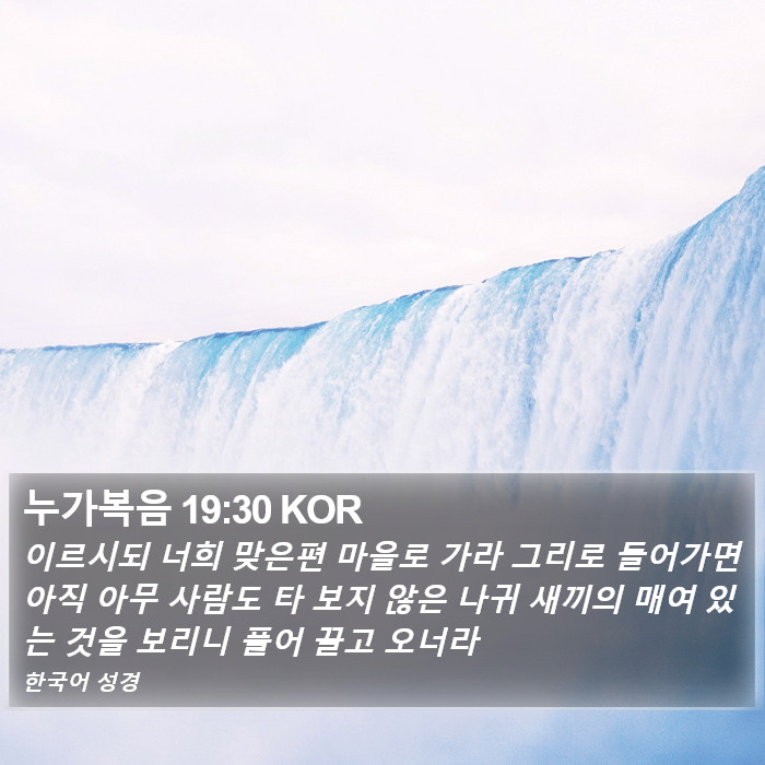 누가복음 19:30 KOR Bible Study