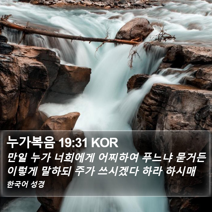 누가복음 19:31 KOR Bible Study