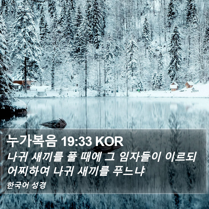 누가복음 19:33 KOR Bible Study