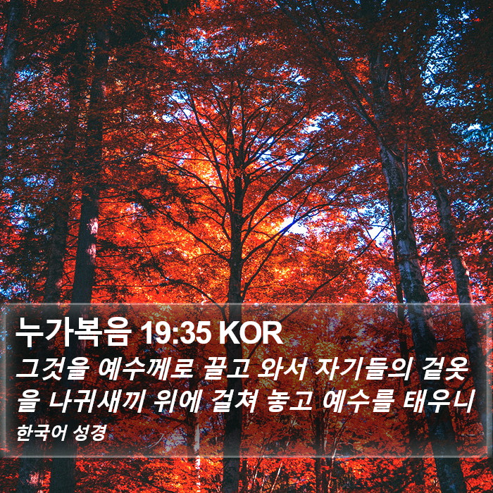 누가복음 19:35 KOR Bible Study