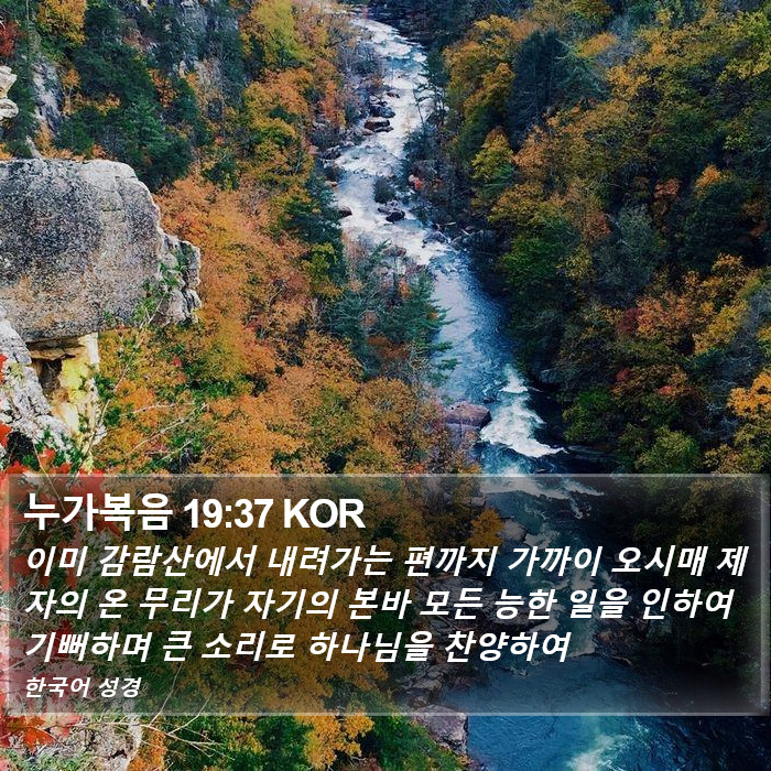 누가복음 19:37 KOR Bible Study