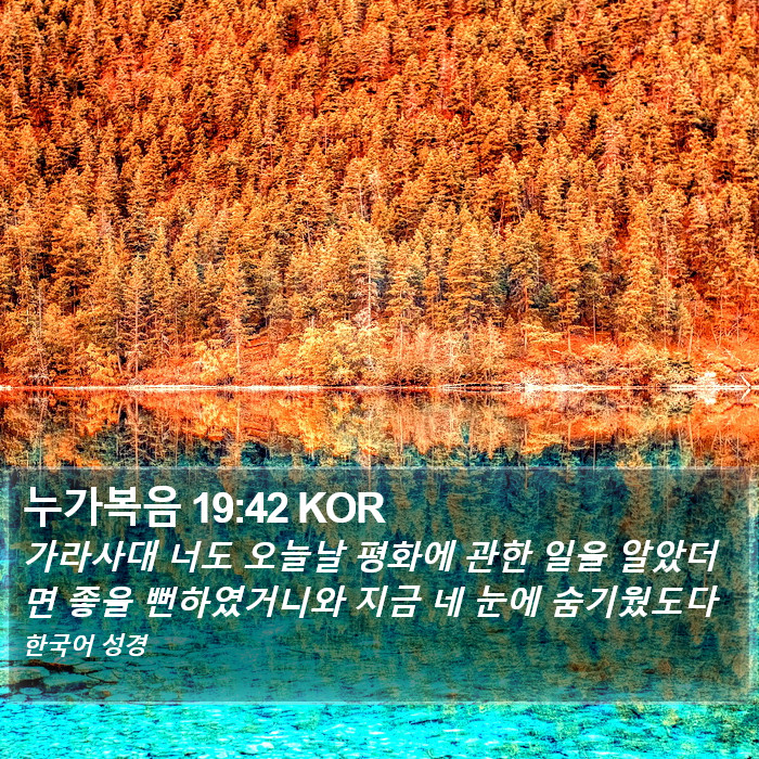 누가복음 19:42 KOR Bible Study