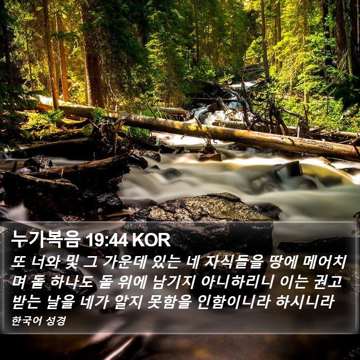 누가복음 19:44 KOR Bible Study