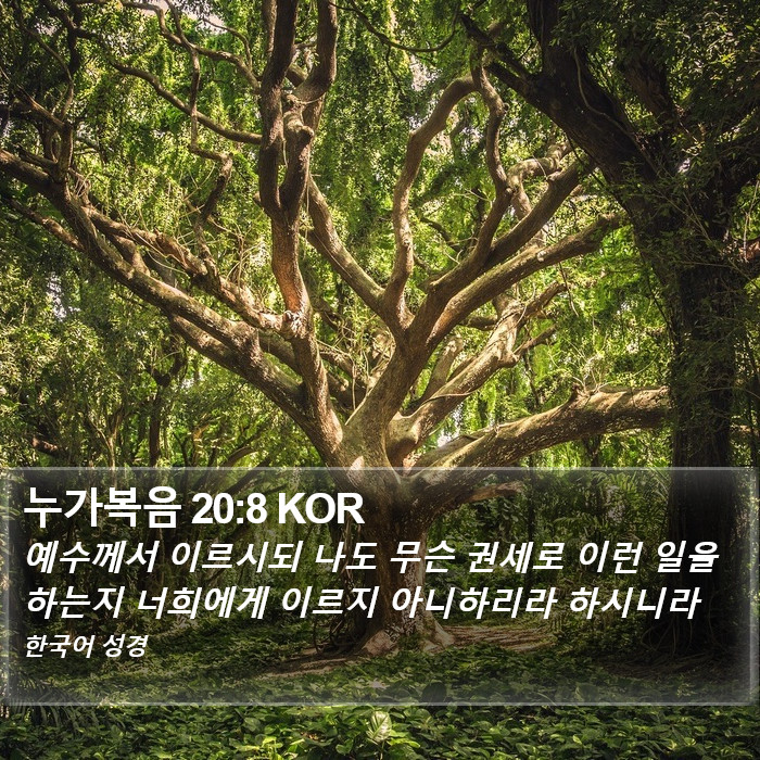 누가복음 20:8 KOR Bible Study