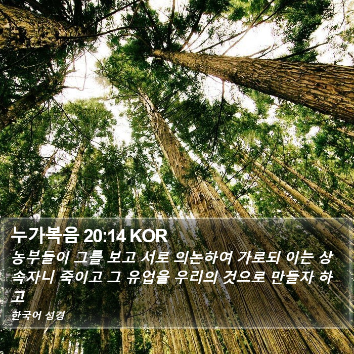 누가복음 20:14 KOR Bible Study