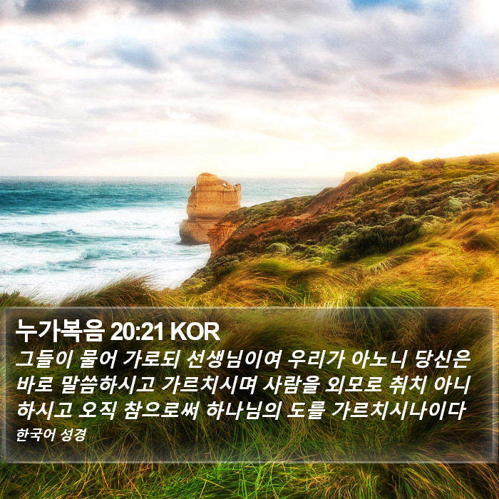 누가복음 20:21 KOR Bible Study