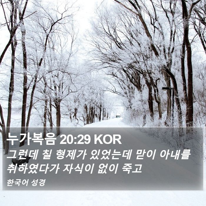 누가복음 20:29 KOR Bible Study