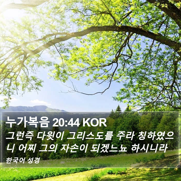 누가복음 20:44 KOR Bible Study