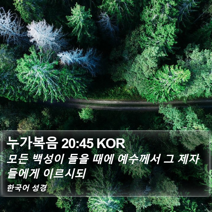 누가복음 20:45 KOR Bible Study