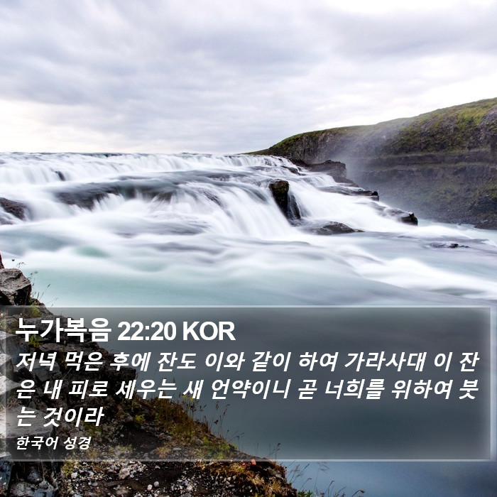 누가복음 22:20 KOR Bible Study