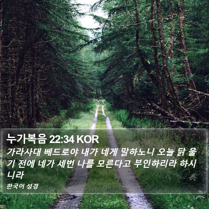 누가복음 22:34 KOR Bible Study