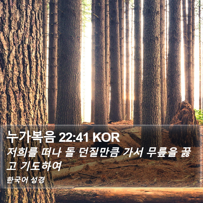 누가복음 22:41 KOR Bible Study