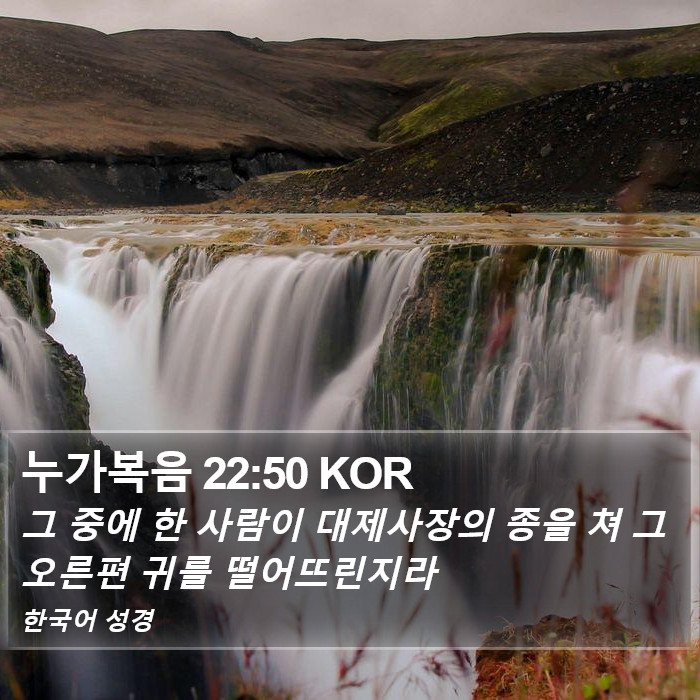 누가복음 22:50 KOR Bible Study