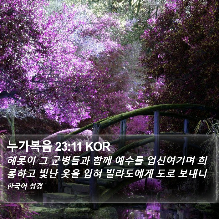 누가복음 23:11 KOR Bible Study