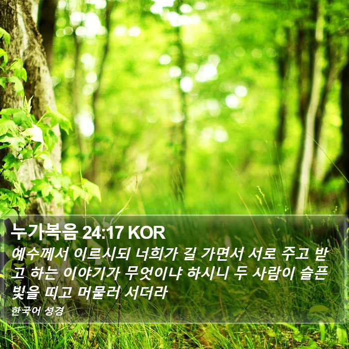 누가복음 24:17 KOR Bible Study