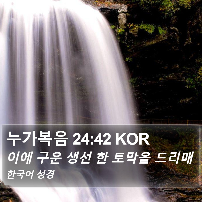 누가복음 24:42 KOR Bible Study