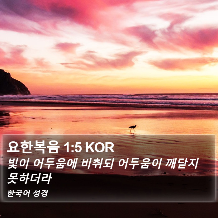 요한복음 1:5 KOR Bible Study