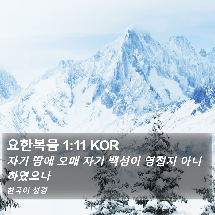 요한복음 1:11 KOR Bible Study