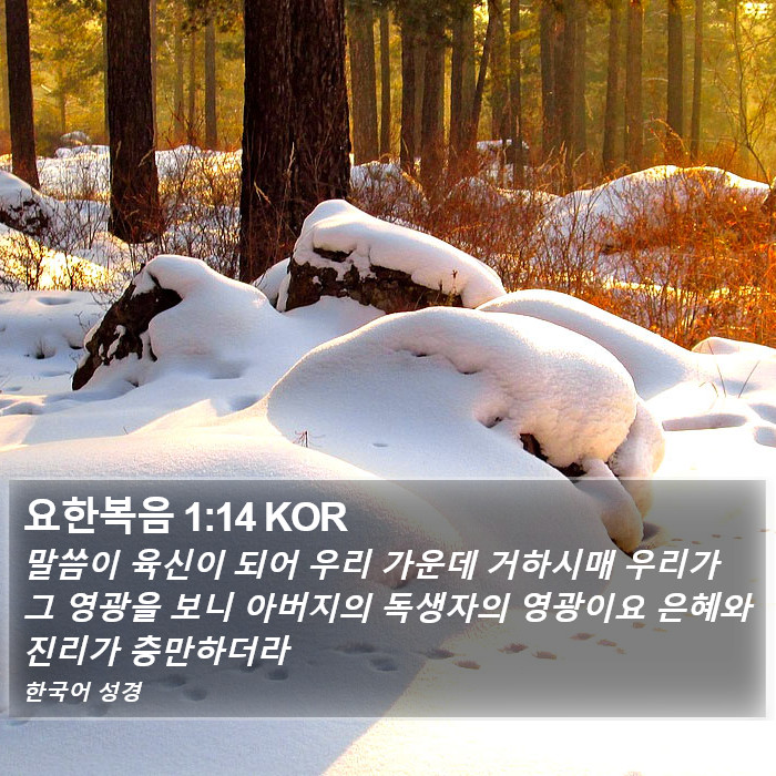 요한복음 1:14 KOR Bible Study