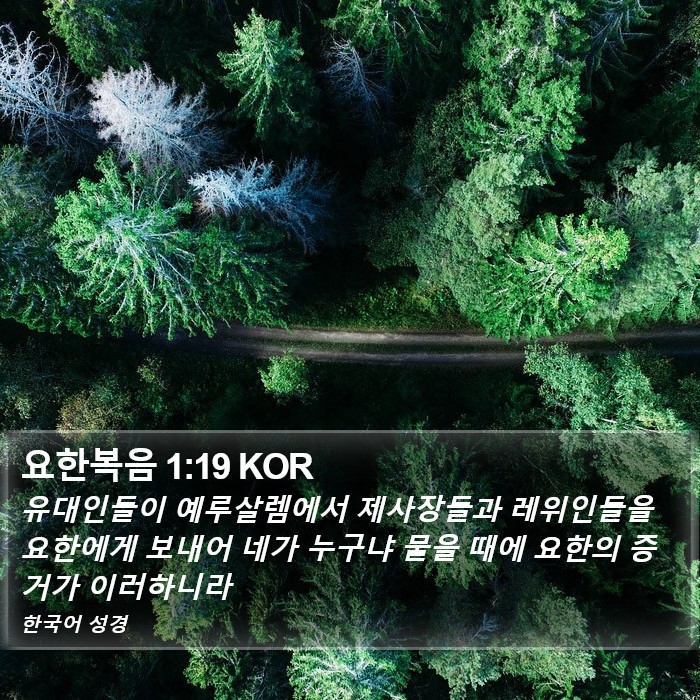 요한복음 1:19 KOR Bible Study